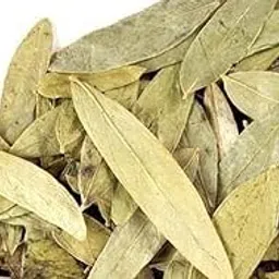 Giriraj ji Collection Rasna Pan-Rasna Leaves-Rasnai Leaf-Ray Sanay Patta-Rai Senna-Pluchea Lanciolata (250 Gms)-image-66
