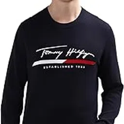 tommy hilfiger Men Sweater-picture-37