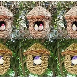 CALANDIS™ 6 x Handwoven Straw Bird Nest Breeding Grass Cave Garden Tree Decor | Birdhouses | Bird & Wildlife Accessories | Yard, Garden & Outdoor Living-picture-54