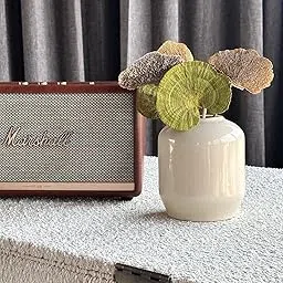 Coastal Habitat | 8 PCS Sponge Mushroom Trio Dried Decor Decorative Items for Gifting, Home, Balcony, Living Room, Wedding, (Multicolour)(Without Vase)-image-13