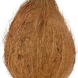 SVE SIDDHI VINAYAK ENTERPRISES Pooja Nariyal |Coconut|Whole Shri Phal|Used For Pooja Ganpati Navratri Diwali Holi Special Ocassions (PACK OF 5)-image-7