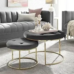 WellHouze Modern Velvet Padded Ottoman Set of 2 Round Tufted Black Coffee Table Stool with Metal Leg-image-15