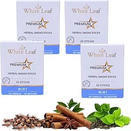 White Leaf Tobacco & Nicotine-Free Premium Herbal Cigarette Mint Flavour, Pack of 4(80 Sticks)-picture-14