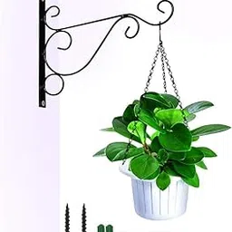 Decorative Wall Mount Plant Hanger with Scrollwork Design, Black Metal, 38 cm-image-97