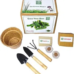Profound Seed Starter Grow Kit of Drumstick || DIY Easy Grow it Yourself Gardening Kit for Home and Garden || A Complete Beginner Gardeners Gardening Set-image-22
