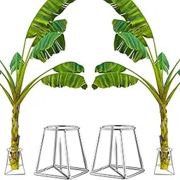 CINAGRO Banana Plant Stand, Rust-Resistant, Easy to Clean, Heavy Base, Sturdy Construction (Silver Finish, Pack of 2, Pair Left and Right)-picture-16