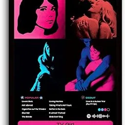 Funk You Store TV Girl Poster | TV Girl Framed A4 Poster | Lovers Rock, Blue Hair, Not Allowed (31 x 23 cm) | Sleek Aesthetic Frame for Wall, Room Decor, Gifting, Study Table-picture-17