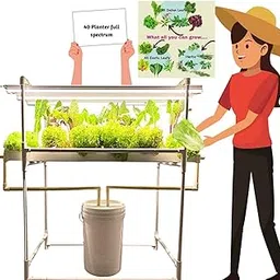 City Greens Hydroponic 40 Planter Indoor Kit for Homes, Offices, Small Spaces | 5 Full Spectrum (White Lights) - Smart Farming.-picture-16