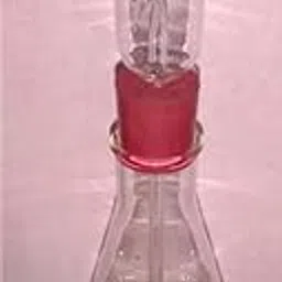 Transparent Conical Wilmott's Bubbler Borosilicate Glass-picture-39