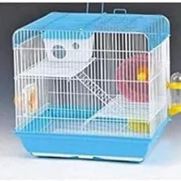 Cage/Playhouse for Dwarf Hamster/Gerbil/Mice with a Food Cup, Water Bottle and Exercise Wheel with Spacious Two ladders cage (37Cm x 28 cm x 35 cm)- [ Colors May Vary ]-picture-60