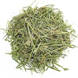 R.S. Birds & Grains | Alfalfa Hay for Rabbits, Guinea Pig, Hamsters, Bunnies & All Other Small pet Animals | Premium pet hay for All Life Stage (450gm)-picture-13