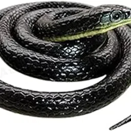 Salvus APP SOLUTIONS Rubber Snake Toy with Realistic Look for Playset, Pranks, Halloween Party Decoration, Garden Props (28 Inch_Black) image 1
