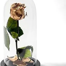 Versailles Forever Love GR Preserved Rose in Golden Glass Dome, Elegant Home Decor, Timeless Beauty Gift-picture-10