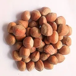 GREEN WORLD HAZELNUT TREE SEEDS FOR FARMING & GARDENING (10 GMS SEEDS PACK)-picture-21