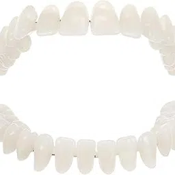Scicalife 1 Set Dental False Teeth Model Resin Teeth Mode Denture Model Teeth Model Teaching Tools image 1