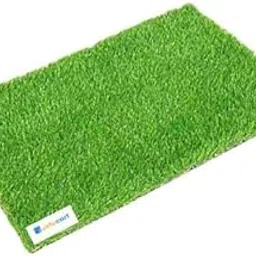 35 Artificial Grass Carpet for Indoor and Outdoor |Artificial Grass Door mat | Soft and Durable Plastic Turf Mat,40x60 cm (Pack of 1)-picture-21