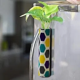 TrustBasket Bramble Magnetic Planter for Fridge | Rust Resistant Hydroponic Plant Holder Vase with Double Magnets | Decorative Planter for Flowers and Money Plants.-picture-22