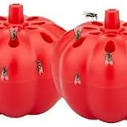 ATETO Fruit Fly Trap Vietnam Fruit Fly Trap Gnat Killer for Indoor, Gnat Trap for Kitchen Home, Fruit Fly Catcher (Pack of 2).-picture-31