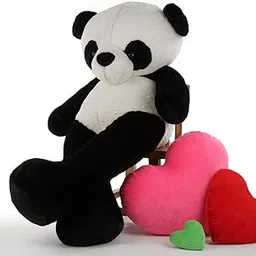 TOYFOREVER European Style Teddy Bear for Kids Birthday | Soft Stuffed Panda Toy for Girls (2 Feet, Black White)-picture-14