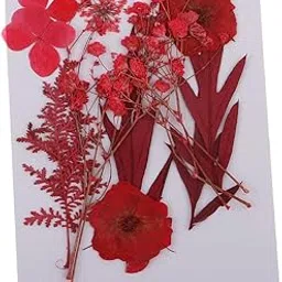 FABLOFT 6 Kinds Pressed Press Dried Flower Real Dried Flower Plant Specimen For Scrapbooking Card, Art Crafts, Epoxy Resin Jewelry Making Silicone Mold Filler-image-47