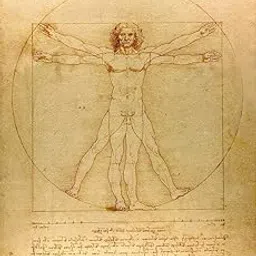 Tallenge - Vitruvian Man - (Vitruve Luc Viatour) - Small Poster Paper (12 x 17 inches, Multicolour)-picture-32
