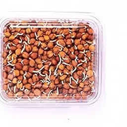 Fresh Brown Channa Sprouts, 200 g-picture-15