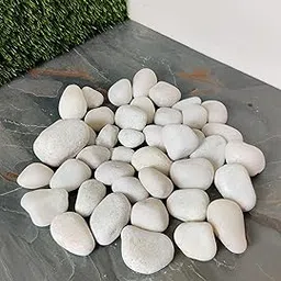 White Marble Pebbles, Unpolished Natural Stone, 25-50mm Size, 5kg Pack for Garden, Vase Fillers, Indoor Outdoor Use-image-82
