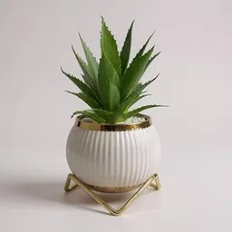 ARISHTA HOME'S| Artificial Plant with White & Gold Pot & Stand | Decorative Faux Succulent for Home, Office & Table Décor | Modern Desk Plant Showpiece for Living Room, Bedroom, Gifting (White)-picture-27