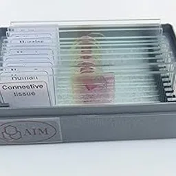 AIM Animal Tissue Slide Set (12 Slides, Glass)-picture-32