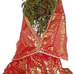 Asiaticjaipur Traditional Lehenga & Chunni Dress for (Red) golden floral work with lece borderTulasi Vivah, Devuthani Ekadashi & Festivals | Decorative Vastra for Tulsi Plant Pot Pack of 1-picture-16