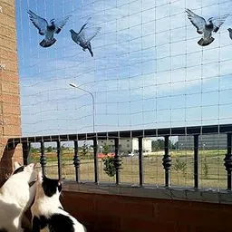 Heart Home Bird Net | Nylon Bird Control Net | Net For Balcony | Child Protection Net | Anti Bird Net | Net for Pigeon | Monkey Net | Net for Graden | 8X10 Feet | White-picture-16