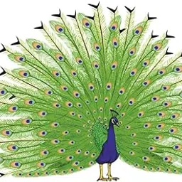 Dancing Peacock Wall Art Wall Stickers for Bedroom Home Kids Room, Multicolor, 35 X 29 Centimeter, Jagvii-picture-60