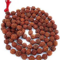 Shivansh's Rudraksha Mala Prayer Beads, 108 Beads, Brown, Traditional Shiva Meditation-picture-28