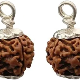 GEMFINITY Precious 5 Mukhi Rudraksha Original Certified Nepali Beads Panchmukhi Rudraksha Buy 1 Get 1 Free 5 Face Rudraksh with Capping Five Mukhi Ridraksha Blessed Shiva पांच मुखी रुद्राक्ष ओरिजिनल-image-5