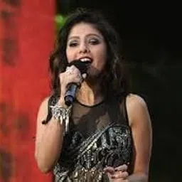 Generic Pen Drive - Sunidhi Chauhan/Bollywood Songs/CAR Song / MP3 / USB / 64GB-picture-22