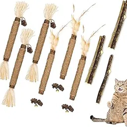 11 Pcs Cat Teething Toys Set, Kittens Catnip Cat Playing Toys for Daily Fun Cat Teething Toys Toys for Cats with 3 Varieties Durable Design for Cat Indoor Use and Daily Play image 1