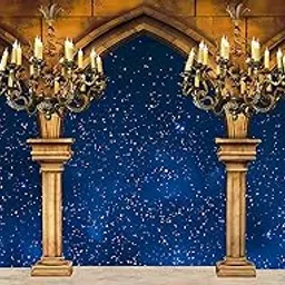 Ashvath Fashion Medieval Palace Pillar Backdrop Princess Bell and Beast Theme Party Photography Background Kids Birthday Party Decorations Fabric-Polyester Size 5Feet Height & 8Feet Width(5 * 8)-picture-24