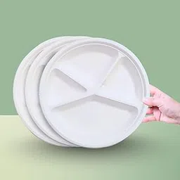Disposable Bagasse Plates – 4-Compartment, 11-Inch Eco-Friendly Plates, Sturdy & Compostable – Pack of 25 for Meals & Events-picture-31