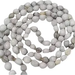 Best to Best Original Vaijanti | Vaijayanti Mala for Pooja, Jaap & Wearing (1 Pc).-picture-17