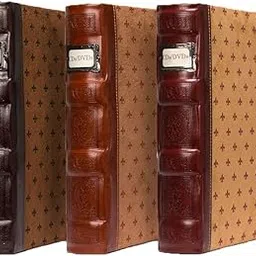 Bellagio-Italia Tuscany DVD Storage Binder Assortment 3-Pack - Stores Up to 144 DVDs, CDs, or Blu-Rays - Includes 1 Cognac, 1 Chestnut, and 1 Crimson-picture-52