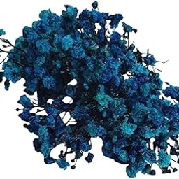 Preserved Baby's Breath Flowers, Natural Blue Dried Gypsophila Bouquet, Turquoise and Navy, Decorative Floral Arrangement-image-0
