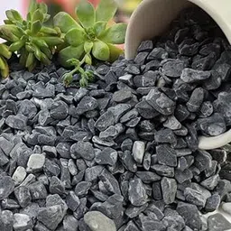 Indian Gardening 5KG Premium Black Marble Pebbles – Planter Top Dressing | Aquarium Decoration | Smooth Polished Stones-image-35