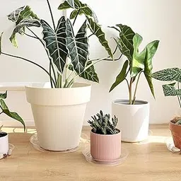 UJEAVETTE Plant Tray Growing Tray for Indoor and Outdoor Plant Pot Saucer Plant Saucer 10 Inch-image-68