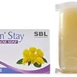 SBL Silk n Stay berberis -anti acne soap (Pack of 10)-picture-14