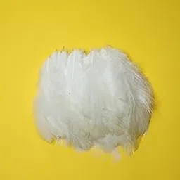 Chicken Feathers for Art & Crafts – Pack of 100 (4–6 Inch) Availabel in Various Colours | DIY Dreamcatchers, Earrings, Decorations & Art Projects (White) image 1