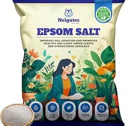 Premium Epsom Salt for Plants Magnesium Sulphate Water Soluble Fertilizer for Healthy Plant Growth, Leaf Greenery, and Bloom Boost 2 kg-picture-14