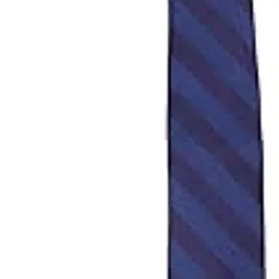 louis philippe Men Blue Embroidered Tie-picture-15