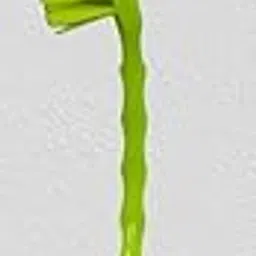 Double Sided Toilet Cleaner Brush for Cleaning Indian Toilets, Sea Plastic Bathroom Toilet Multicolor-(Pack of 1)-picture-31