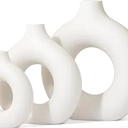 Amazon Basics Hand Crafted Ceramic Donut Shaped Vase with Pampas Grass | for Unique Home Decor (Pack of 3)-image-64