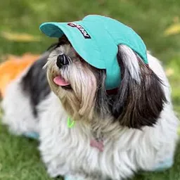 Dog-O-Bow Baseball Cap for Dogs | Soft, Lightweight Cap (Small)-picture-35